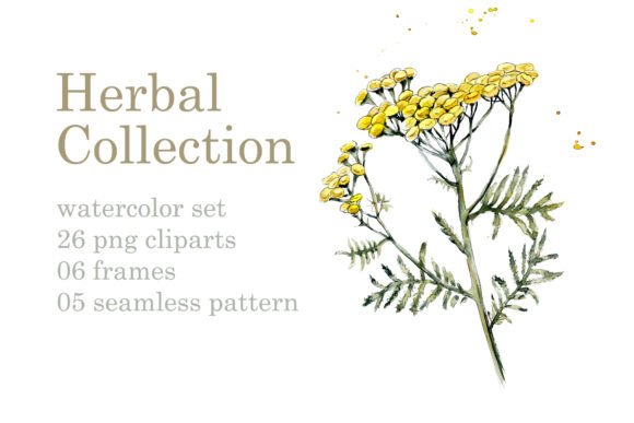 Collection Herb: Creative Inspiration for Designers